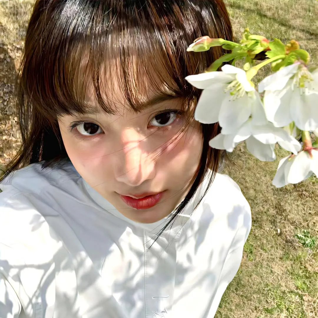 陆小凤之凤舞九天粤语